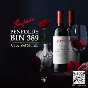 Penfolds Bin389 พร้อมส่งด่วน